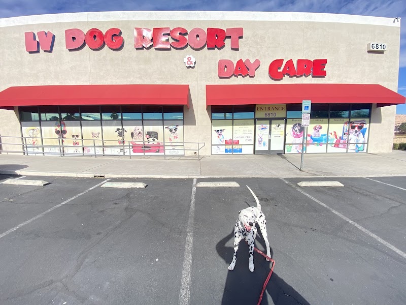 LV (Las Vegas) Dog Resort photo 2