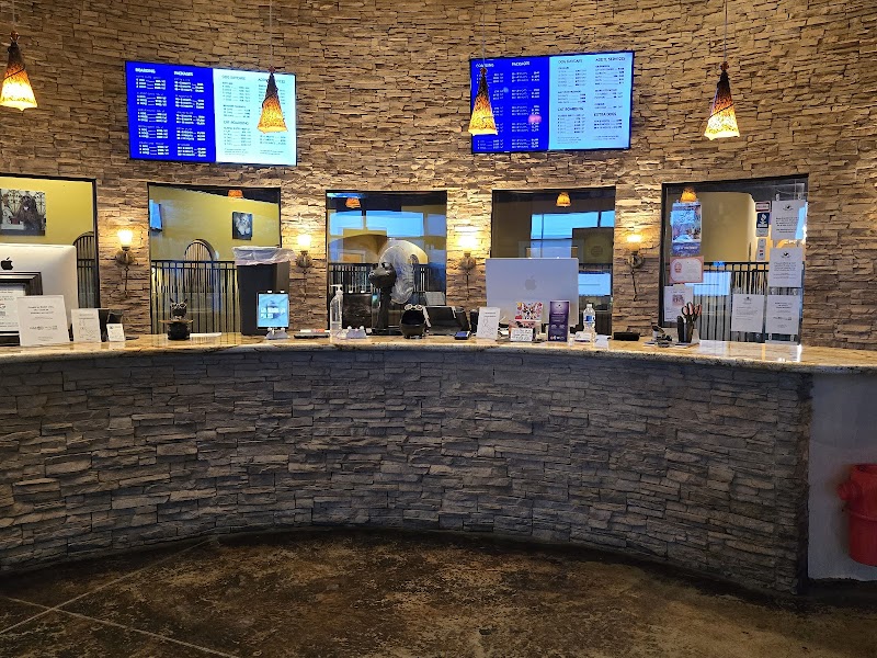 LV (Las Vegas) Dog Resort photo 3