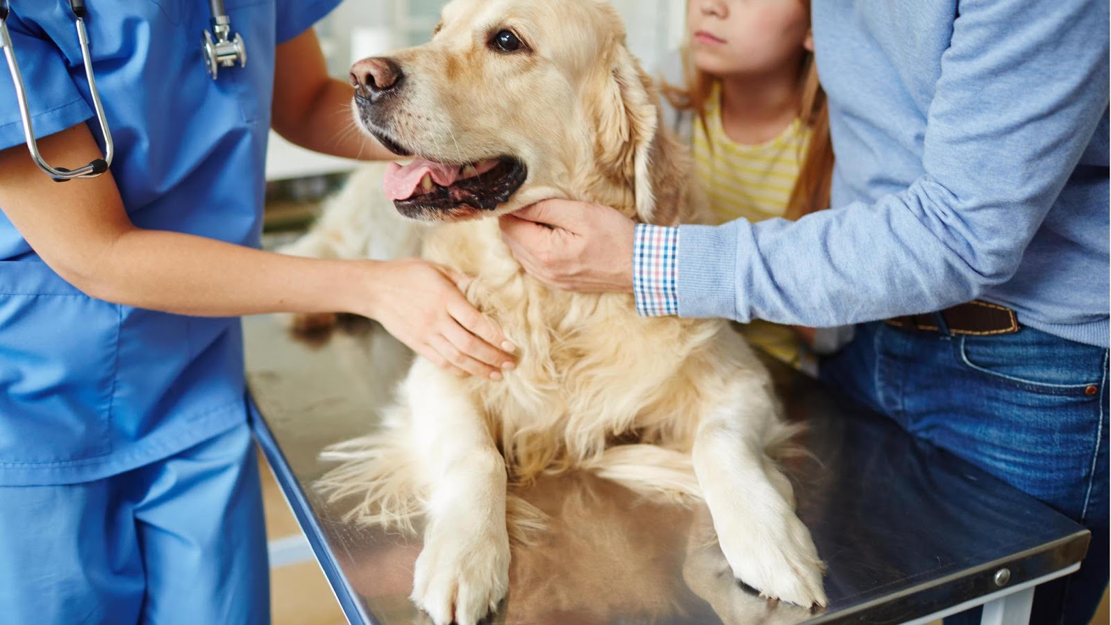 Madison Street Animal Hospital