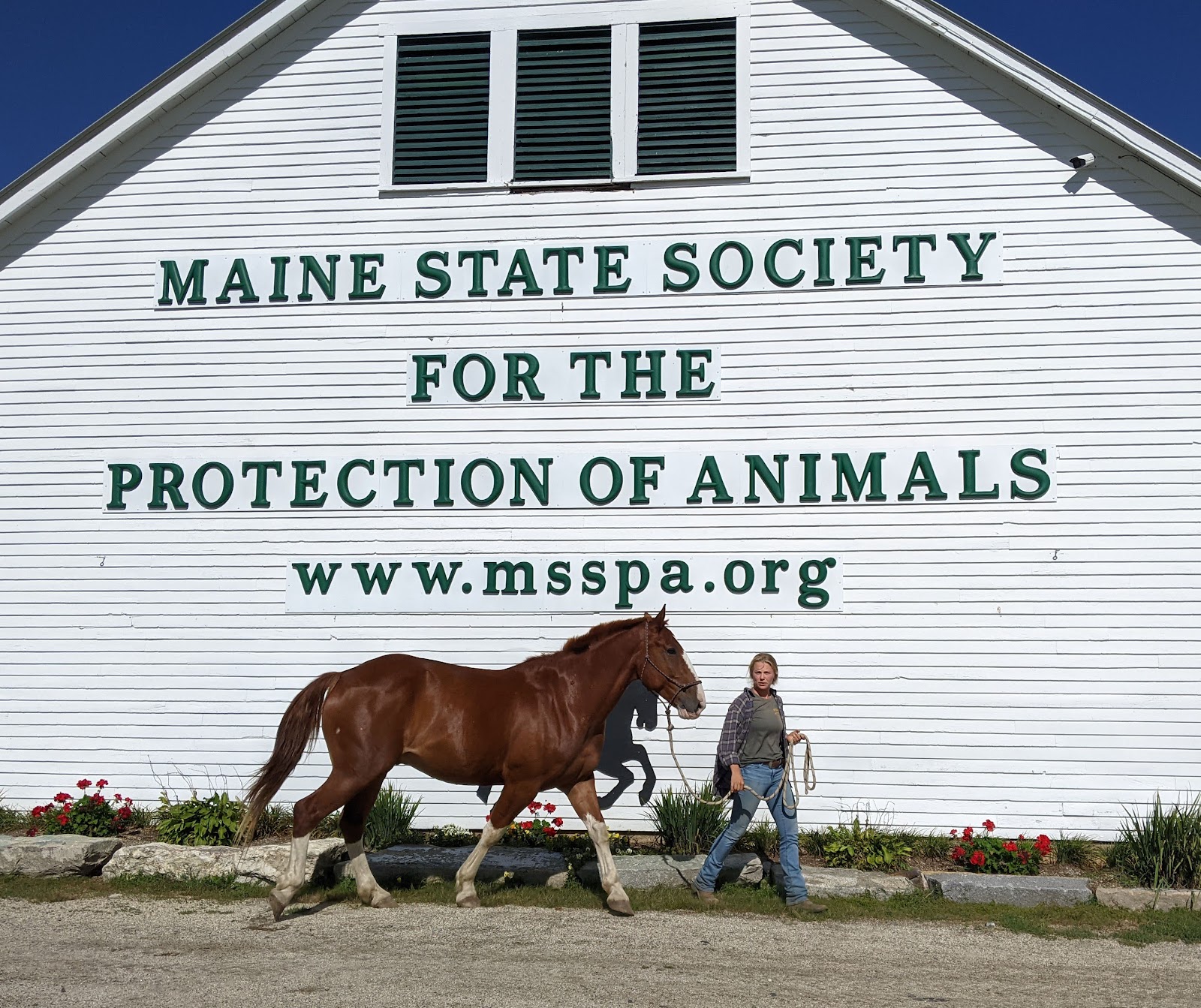 Maine State Society for the Protection of Animals