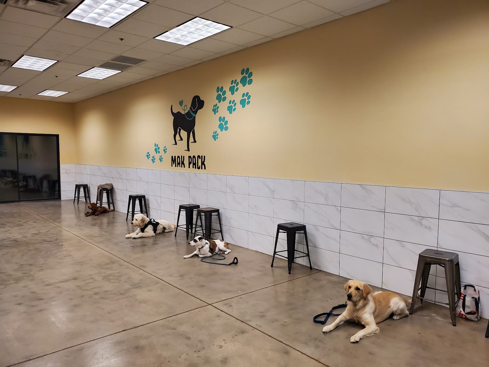 Mak Pack Dog Training & Boarding