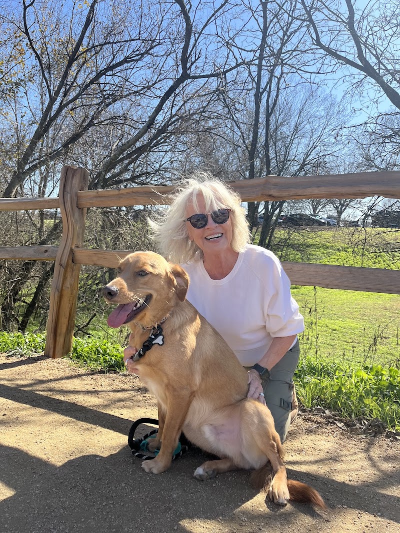 Mary's Buddies Dog Walking & Pet Sitting