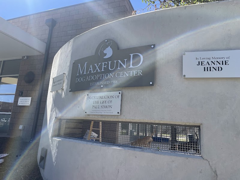 MaxFund Animal Adoption Center photo 2