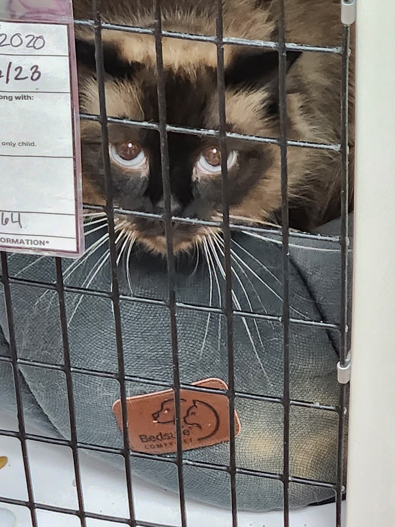 MaxFund Animal Adoption Center photo 3