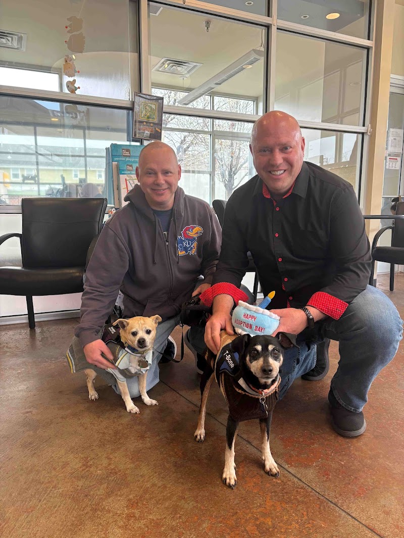 MaxFund Dog Shelter