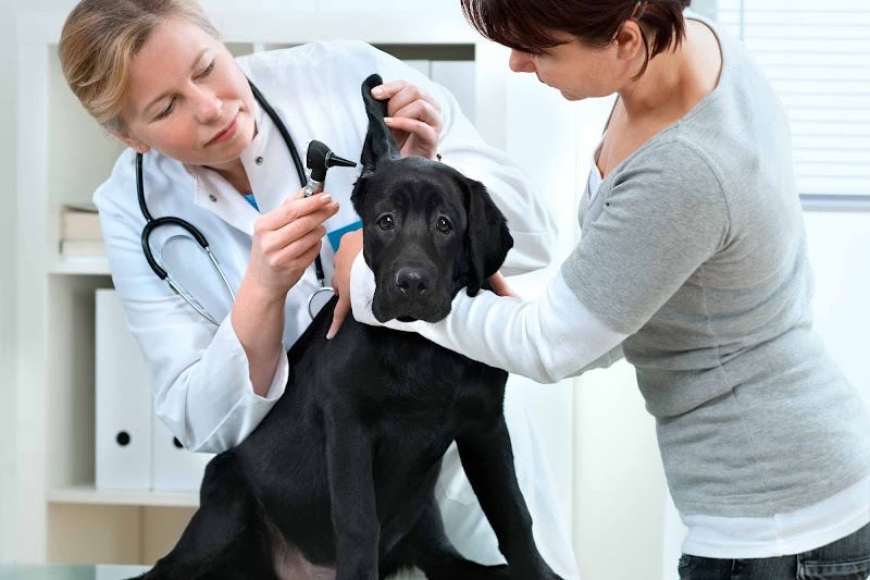 MaxFund Veterinary Clinic