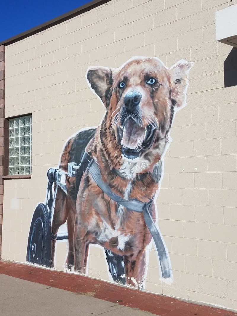 MaxFund Veterinary Clinic photo 2