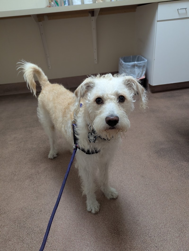 MaxFund Veterinary Clinic photo 3