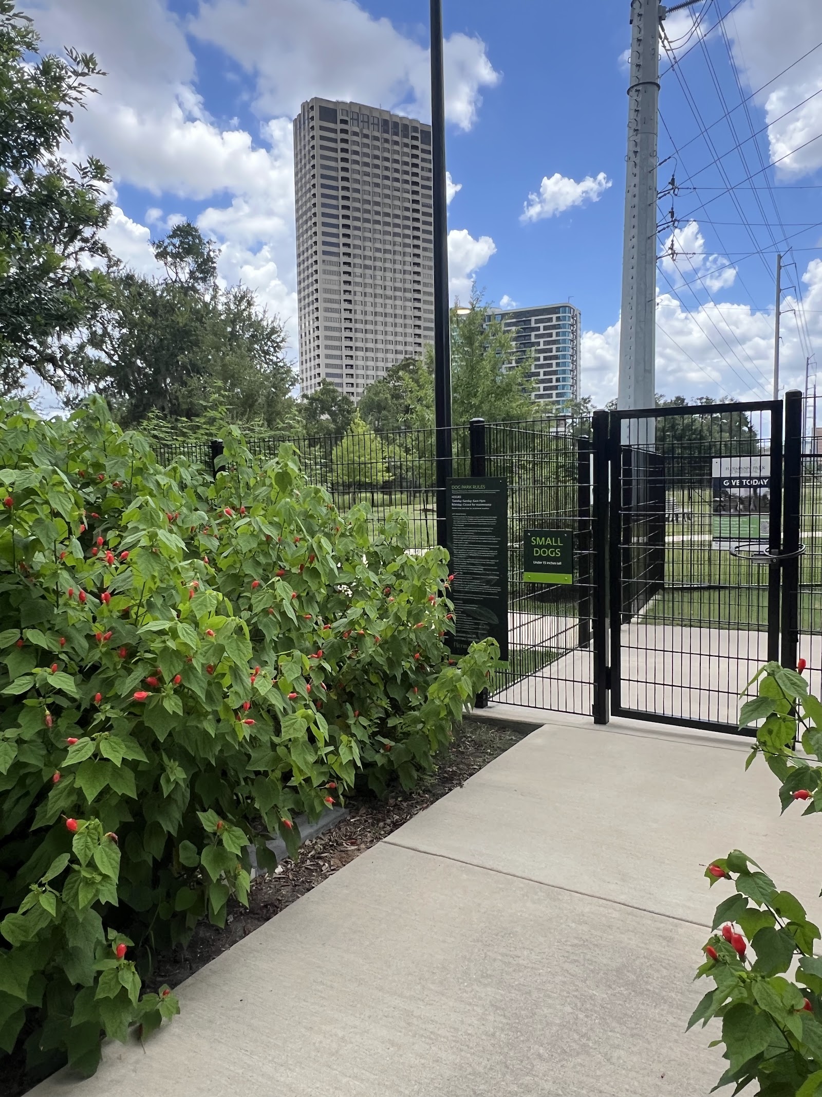 McWilliams Dog Park