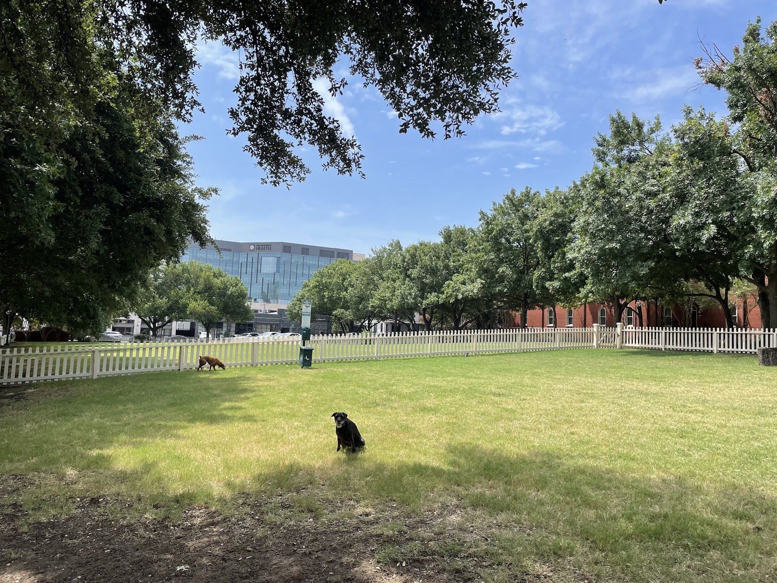 Meadows Dog Park