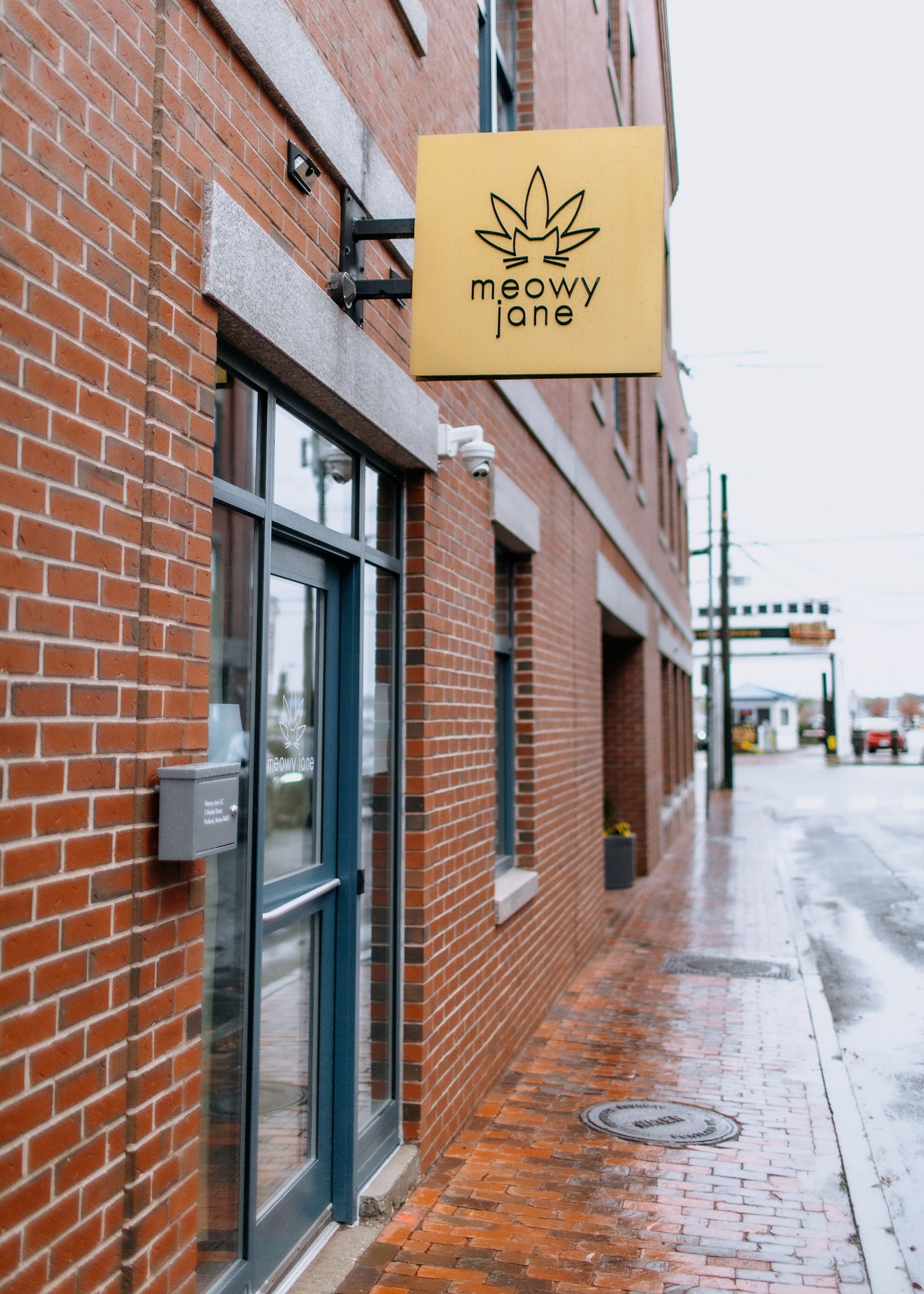 Meowy Jane, Portland Maine Recreational Cannabis, 21+