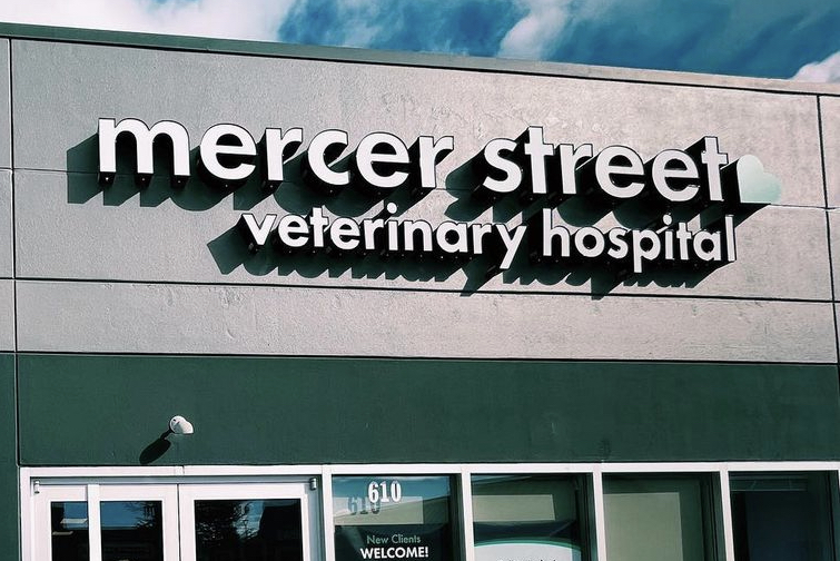 Mercer Street Veterinary Hospital