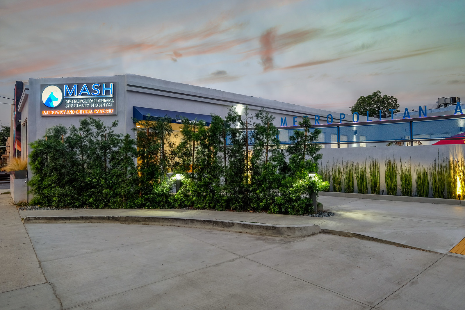 Metropolitan Animal Specialty Hospital (MASH)