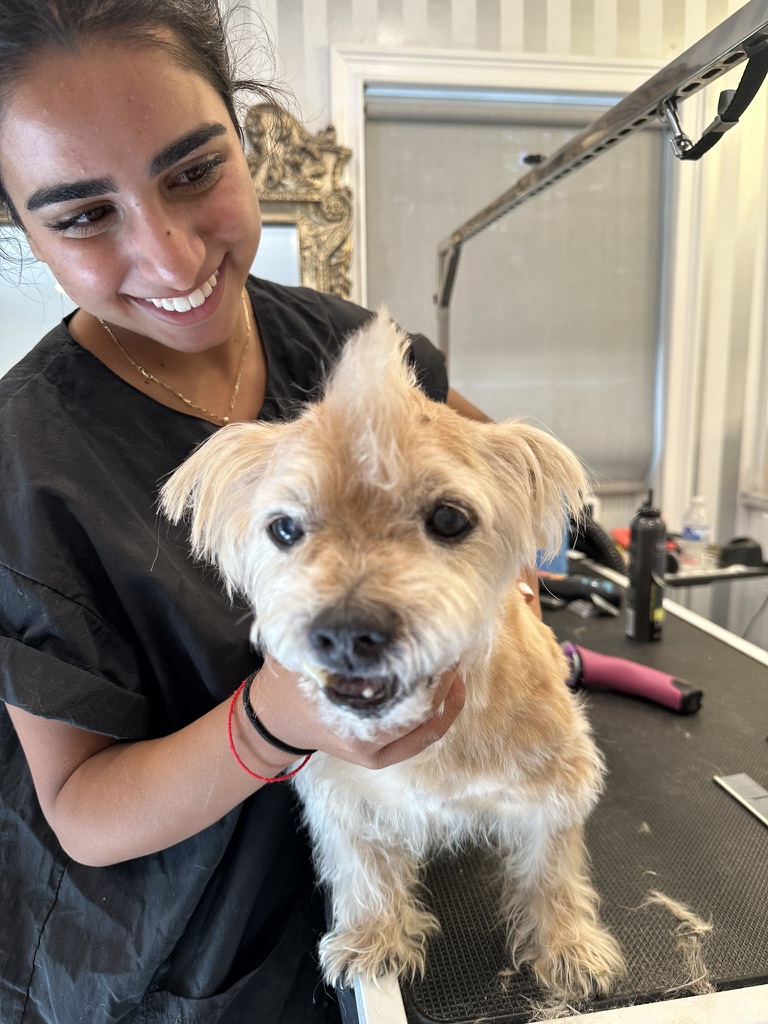 MFD Grooming & Wellness