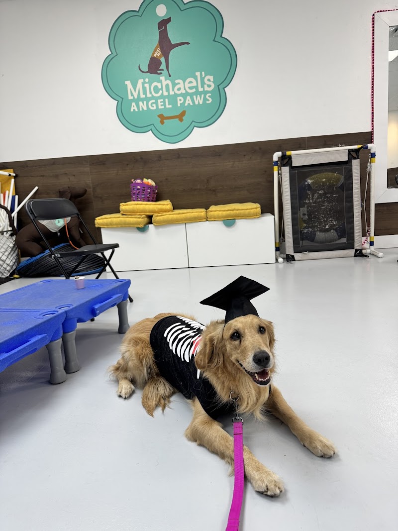 Michael's Angel Paws