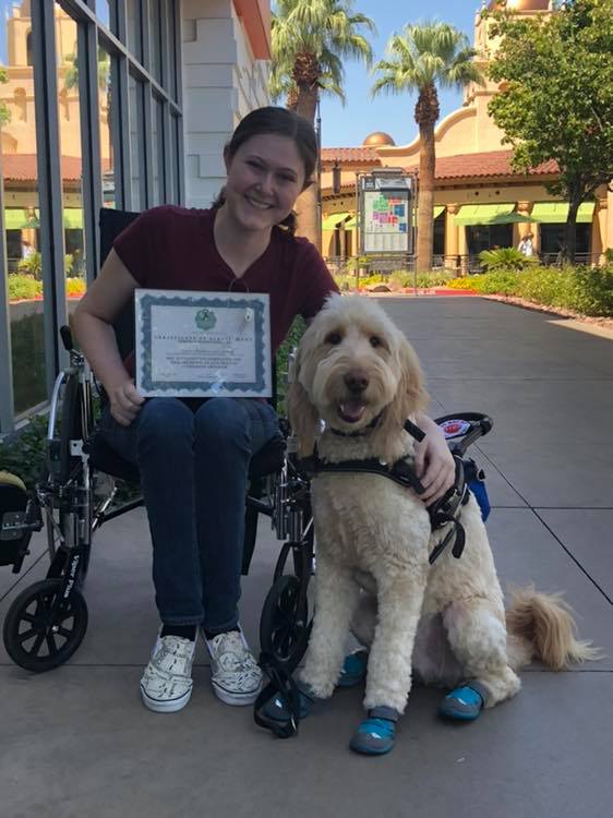 Michael's Angel Paws photo 3