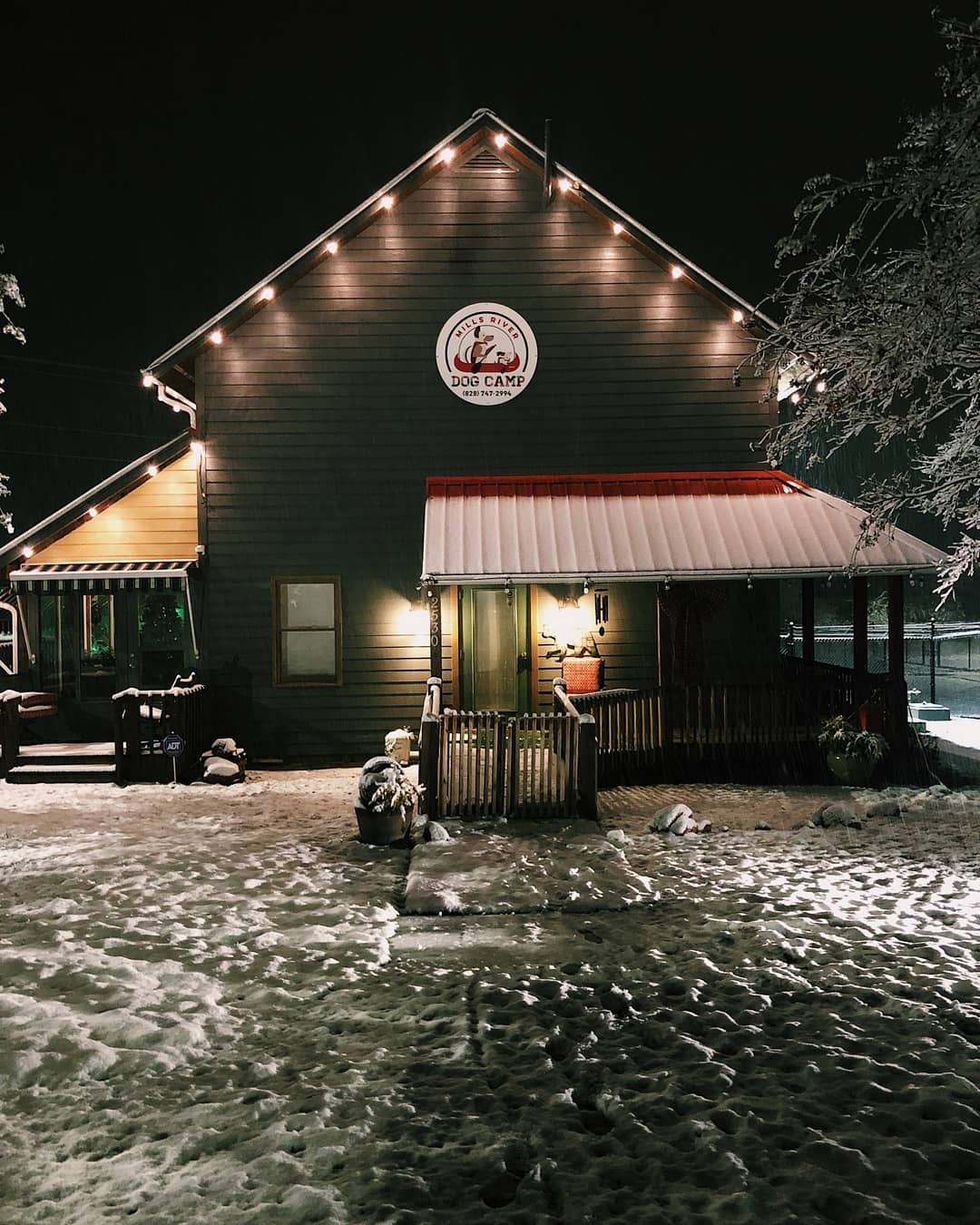 Mills River Dog Camp