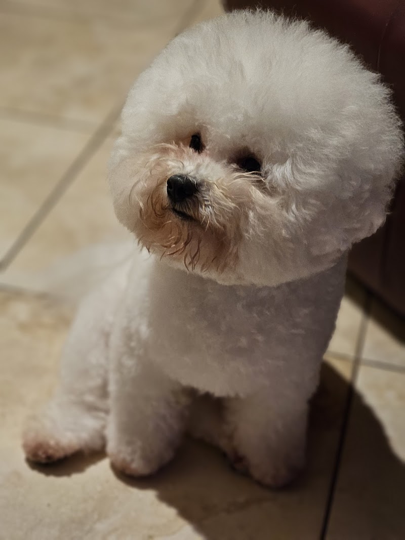 Mimo Grooming Studio - University Heights | Gabriel Feitosa photo 3