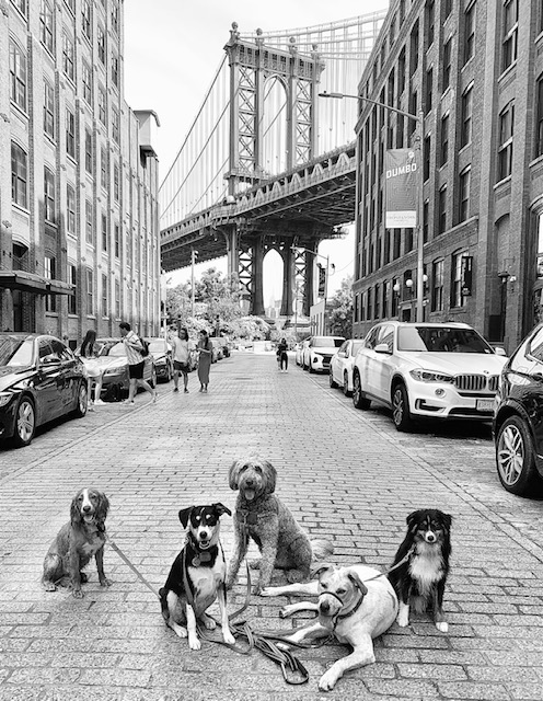 MindfulPups
