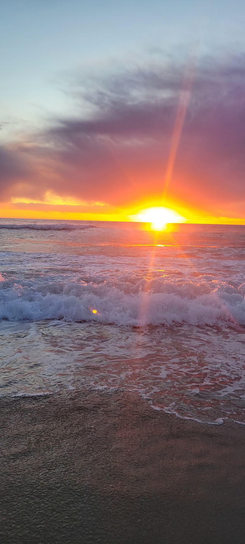 Mission Beach Boardwalk photo 3