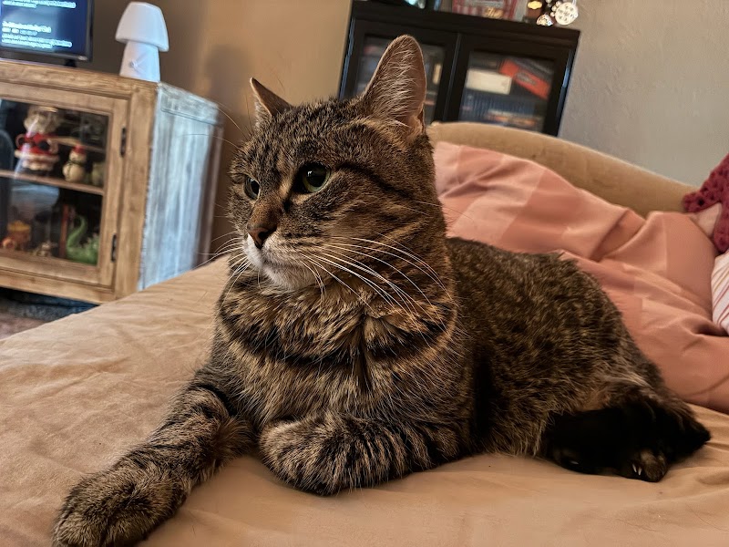 Mission Valley Pet Clinic photo 2