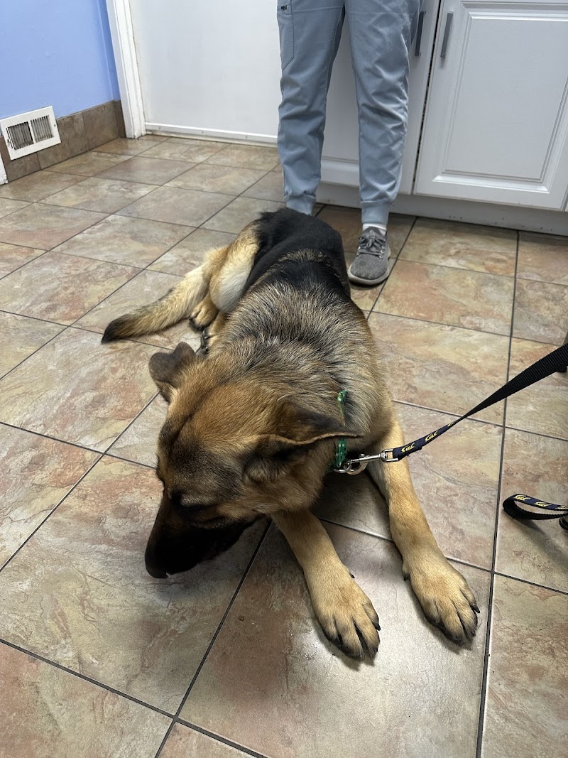 Mission Valley Pet Clinic photo 3