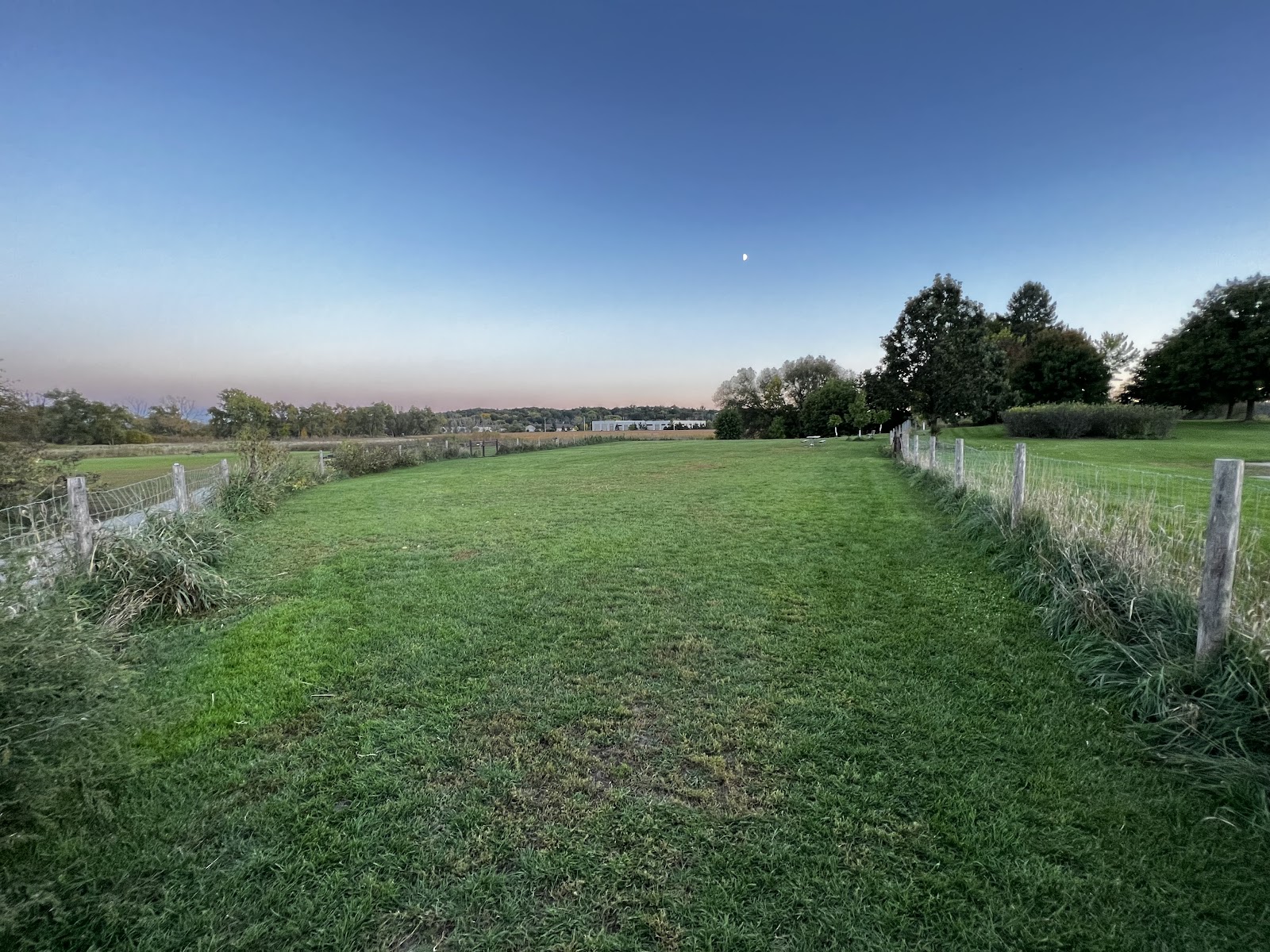 Mitchell Park Dog Exercise Areas