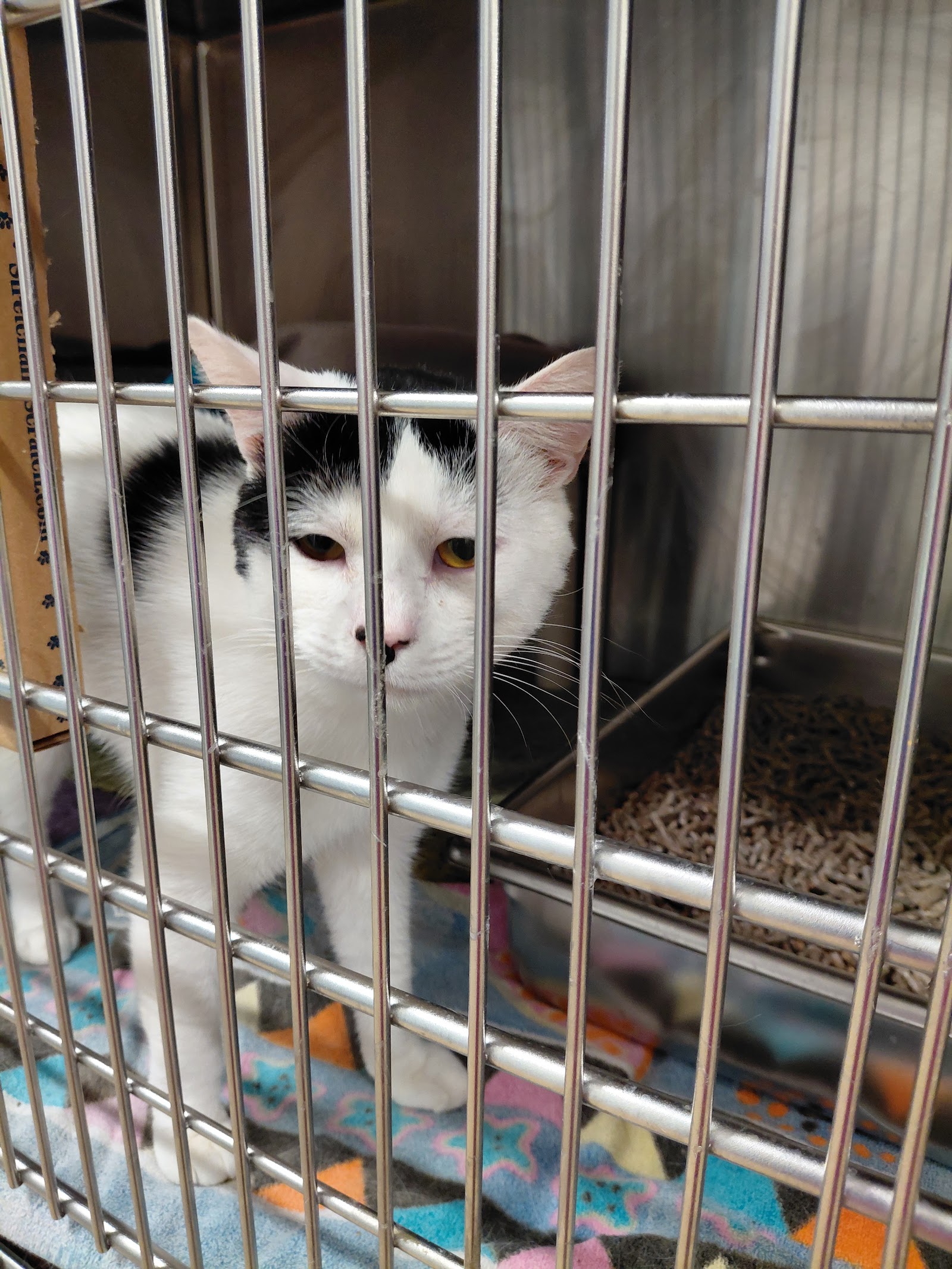 Montgomery County Animal Services and Adoption Center