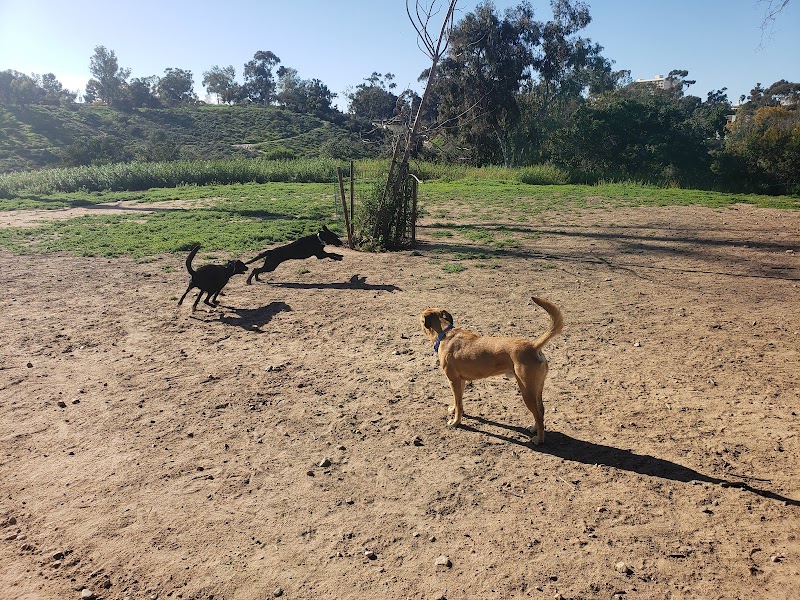 Morley Field Dog Park