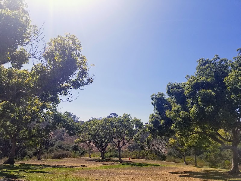 Morley Field Dog Park photo 2