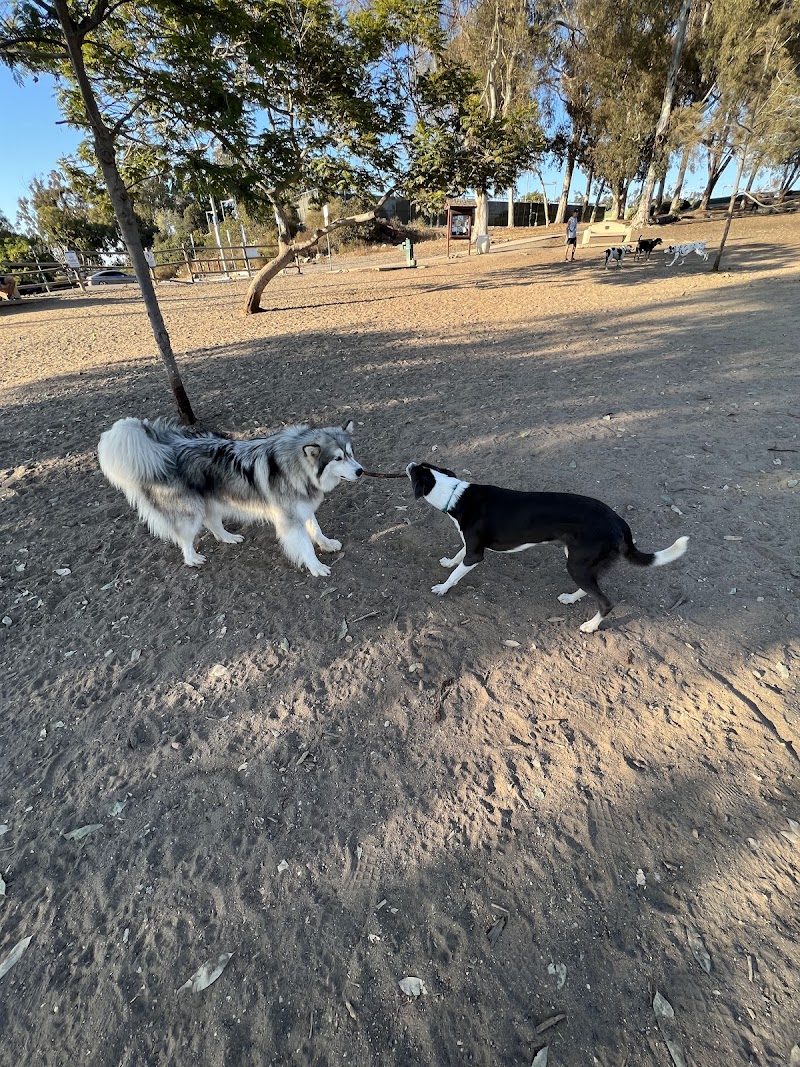 Morley Field Dog Park photo 3