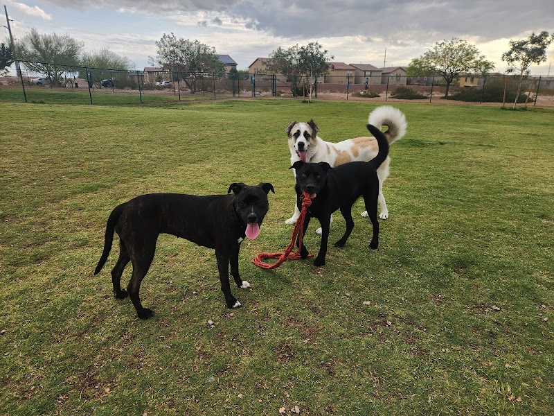 Mountains Edge Dog Park