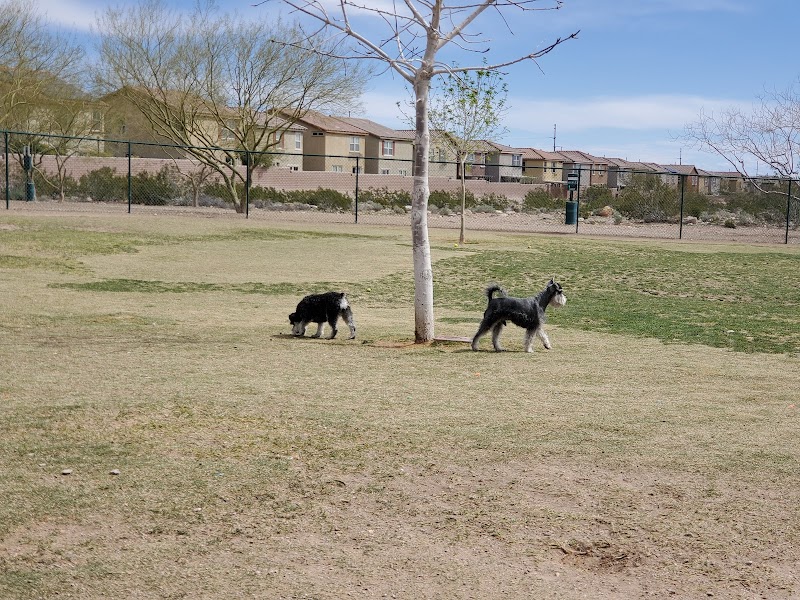 Mountains Edge Dog Park photo 3
