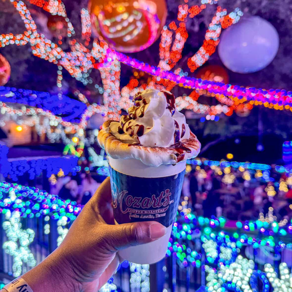 Mozart's Coffee Roasters photo 2