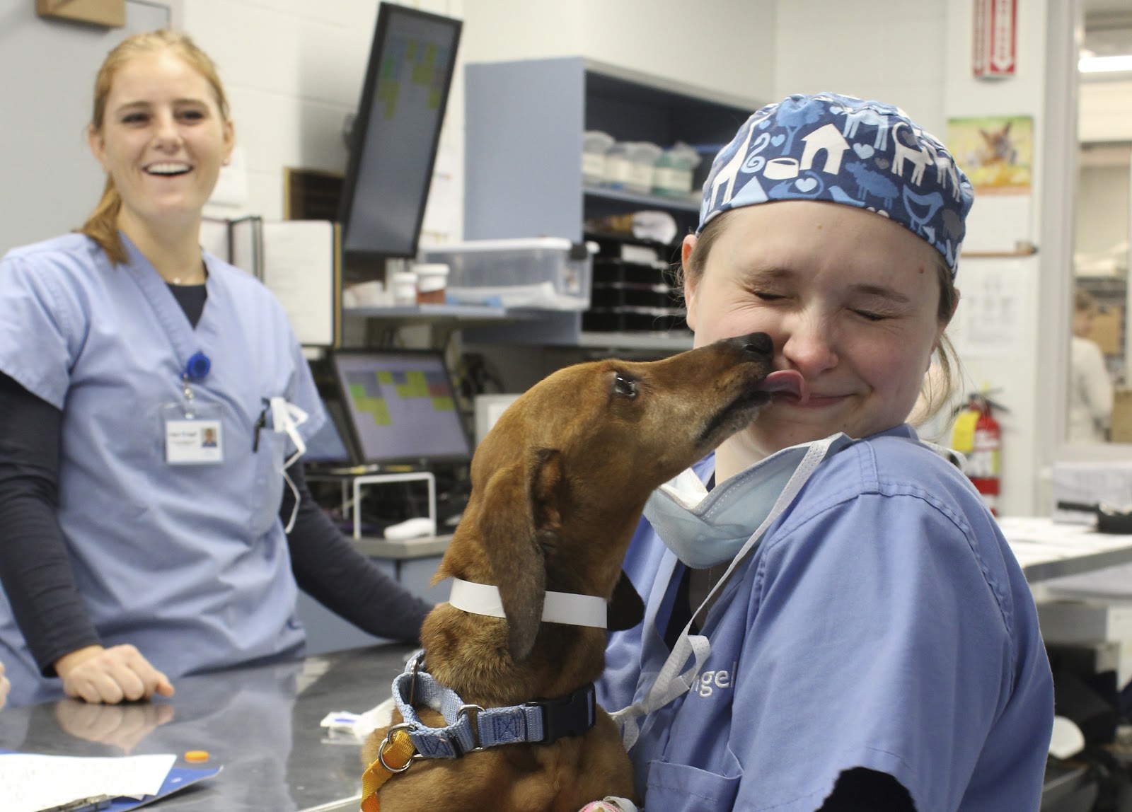 MSPCA-Angell West