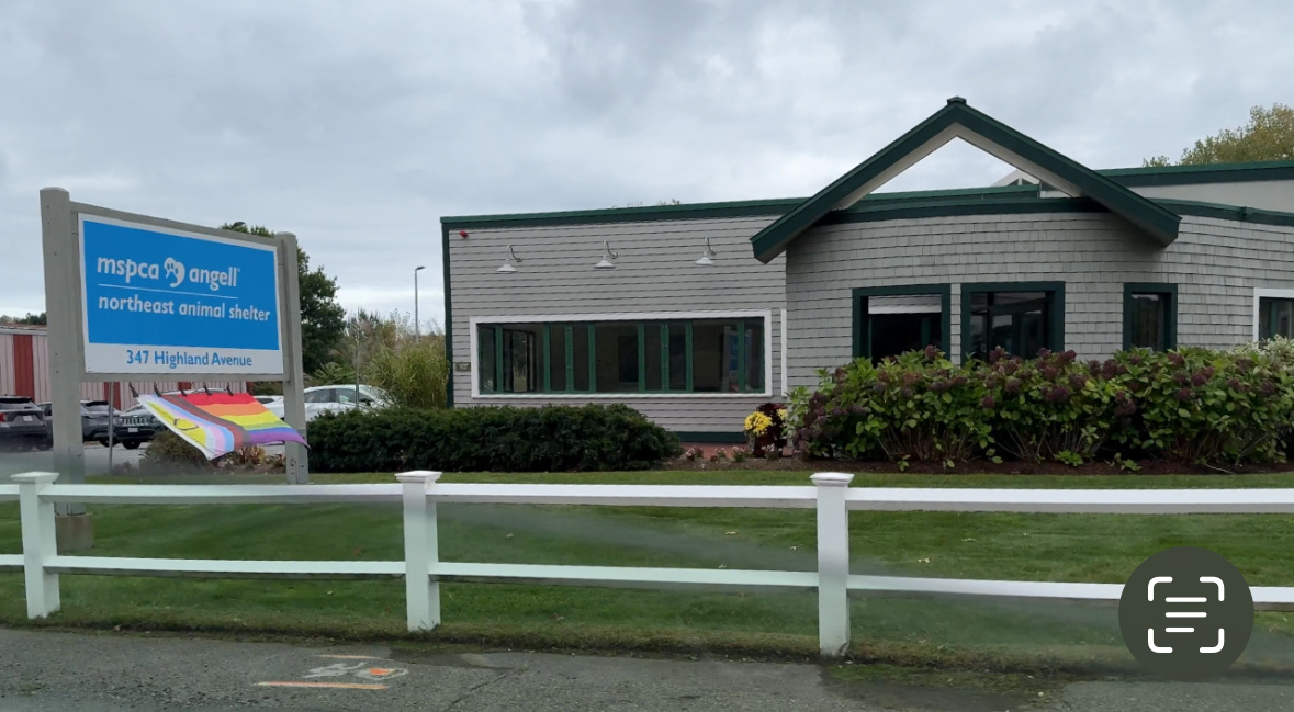 MSPCA at Northeast Animal Shelter