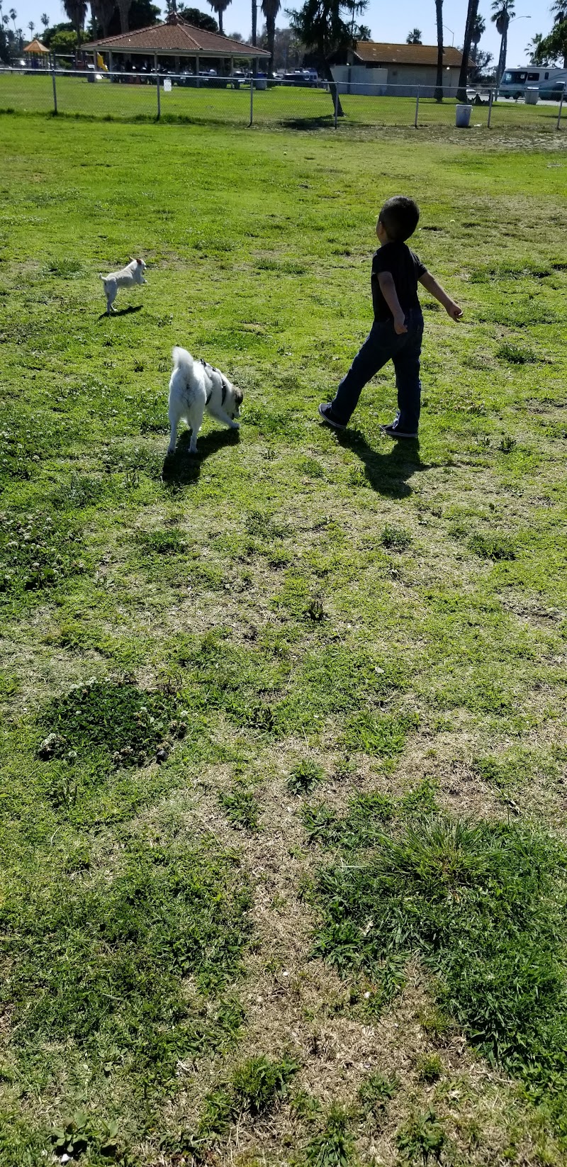My Dog Park photo 3