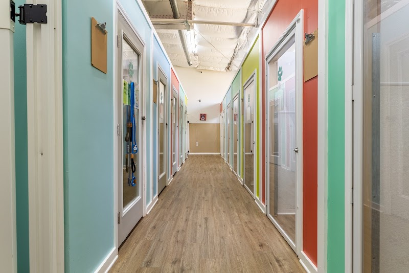 My Love Fur Paws Pet Resort