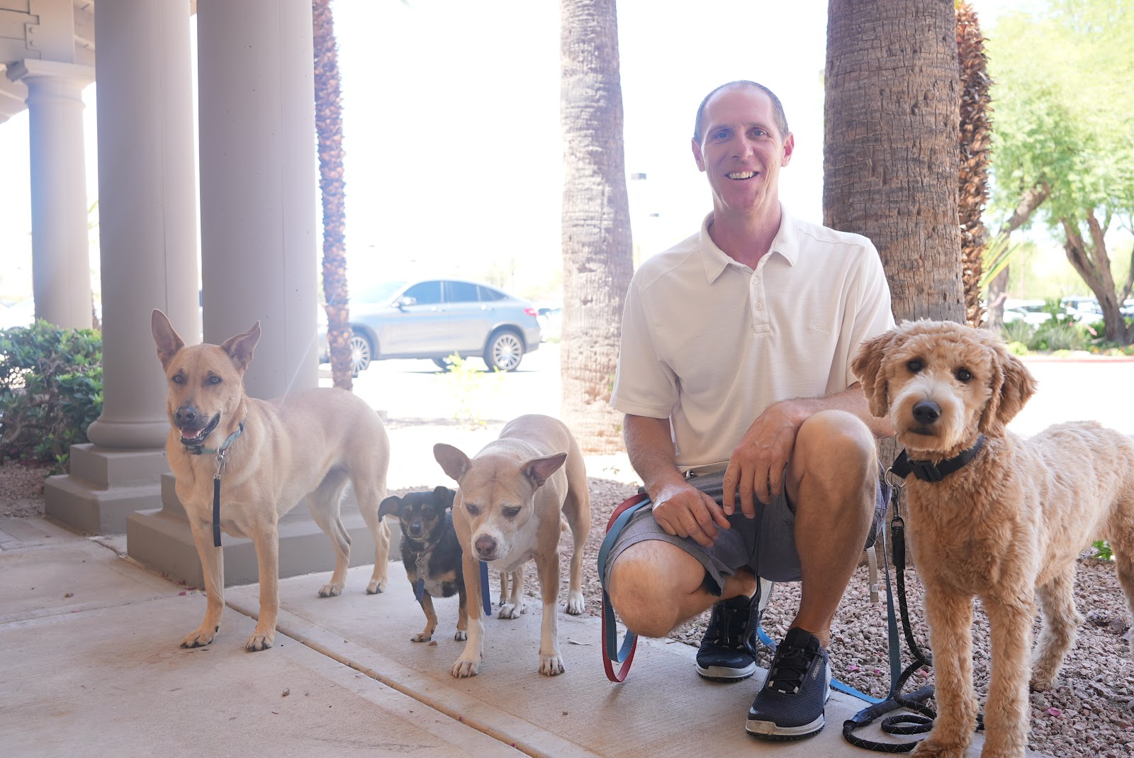Nate Dog Training