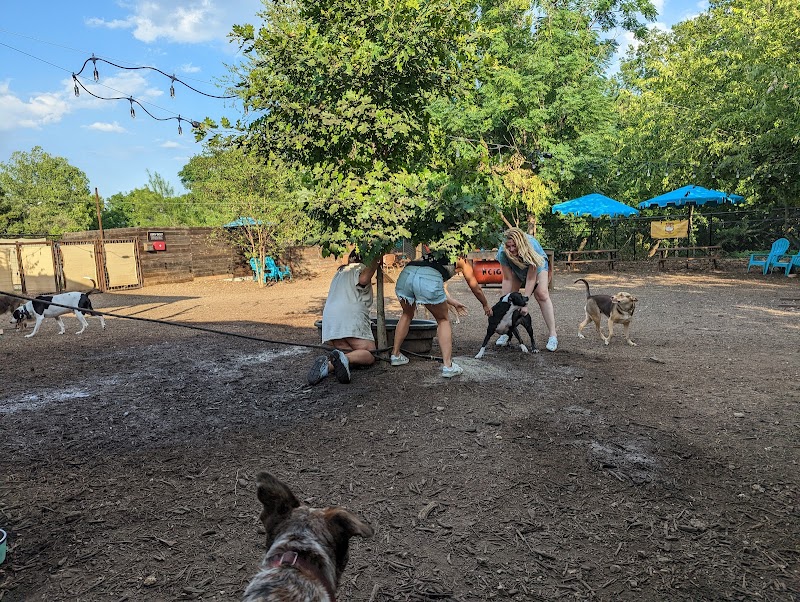 Neighbors Dog Park & Cafe photo 2