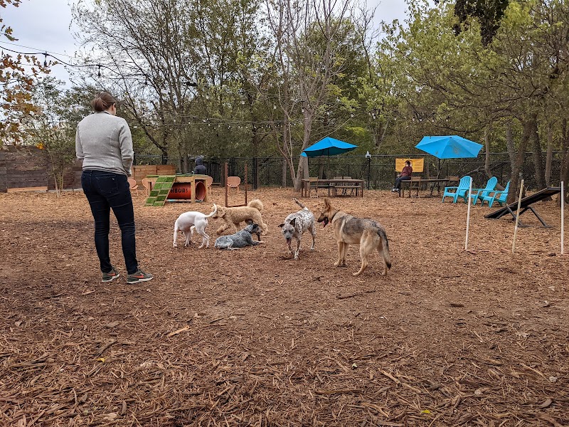 Neighbors Dog Park & Cafe photo 3