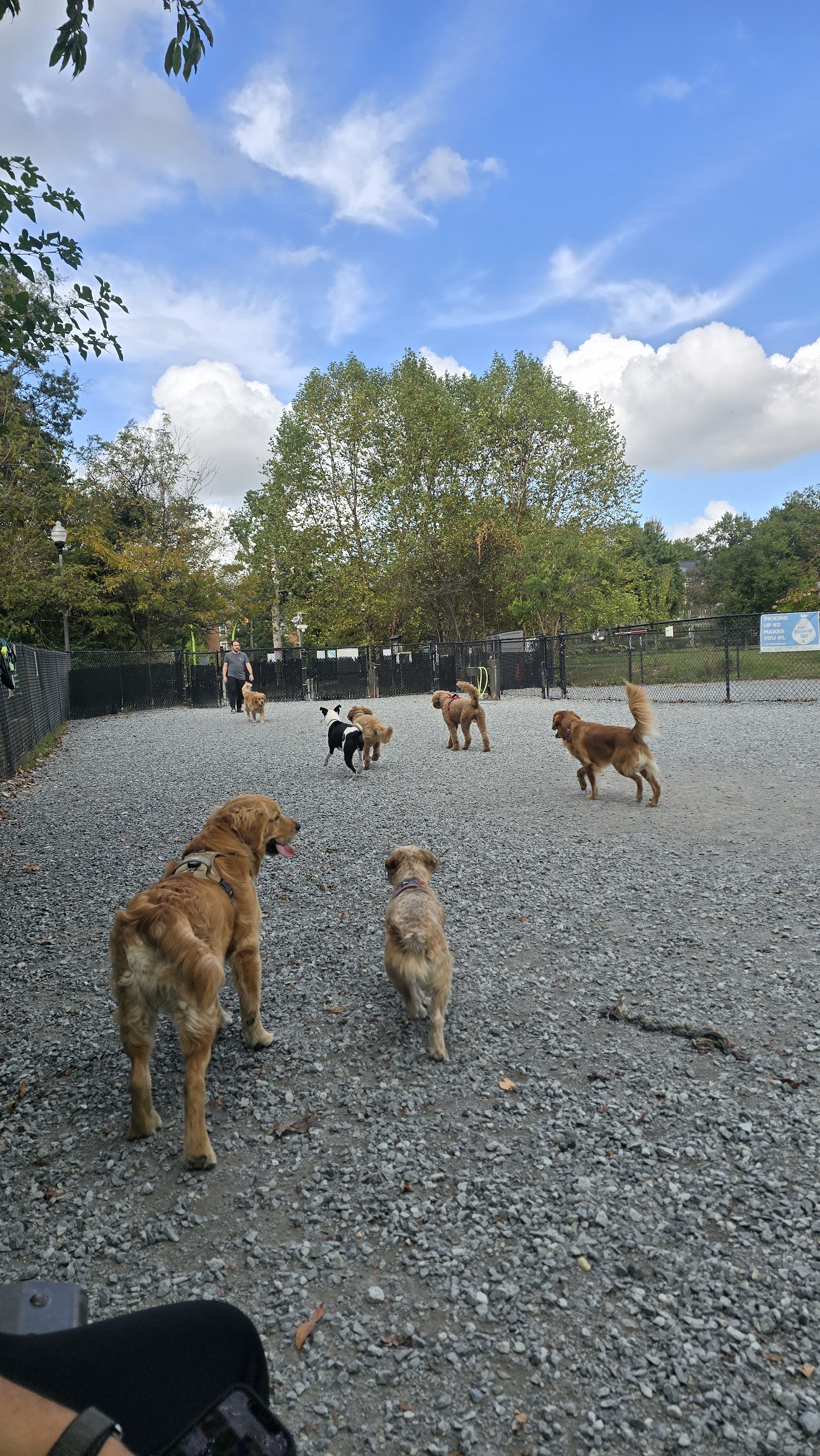 Newark Street Dog Park