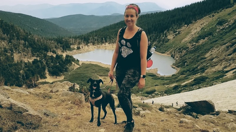 Niki the Dog Trainer, LLC