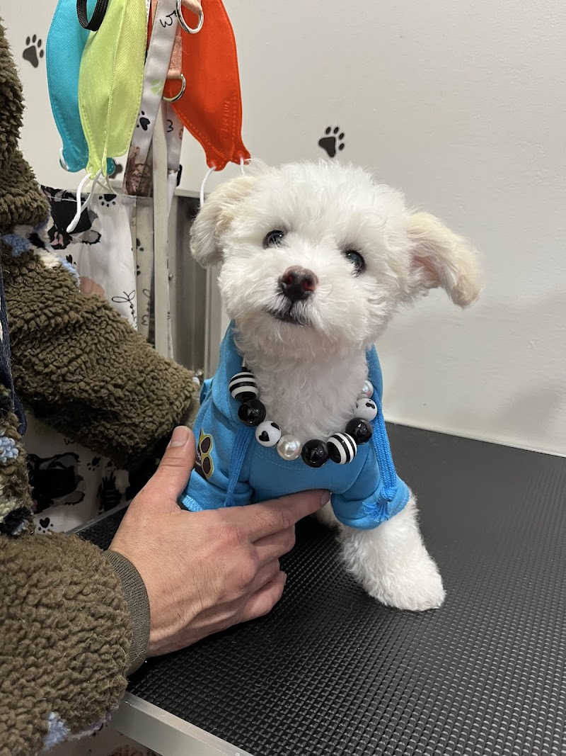 Nina’s Pet Spa & Grooming photo 3