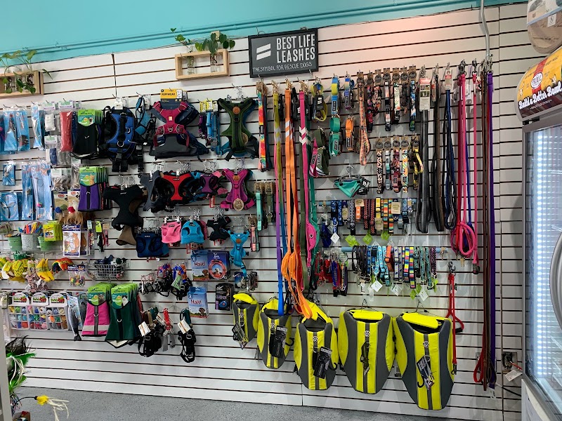 Noah's Natural Pet Market