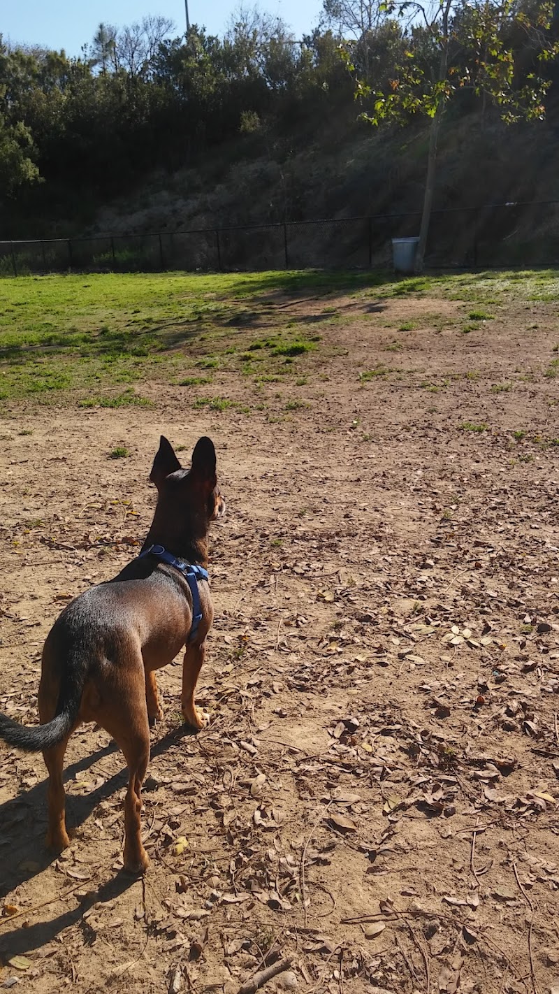 Nobel Leash-Free Park photo 3