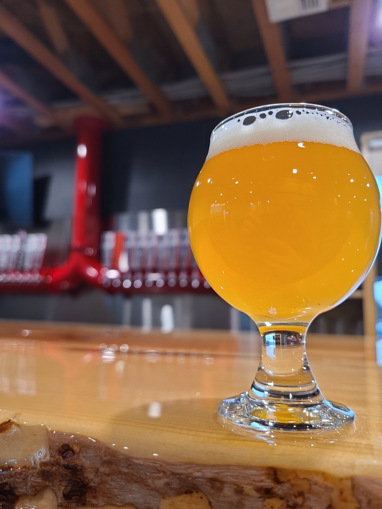 North 5th Brewing Co. photo 3