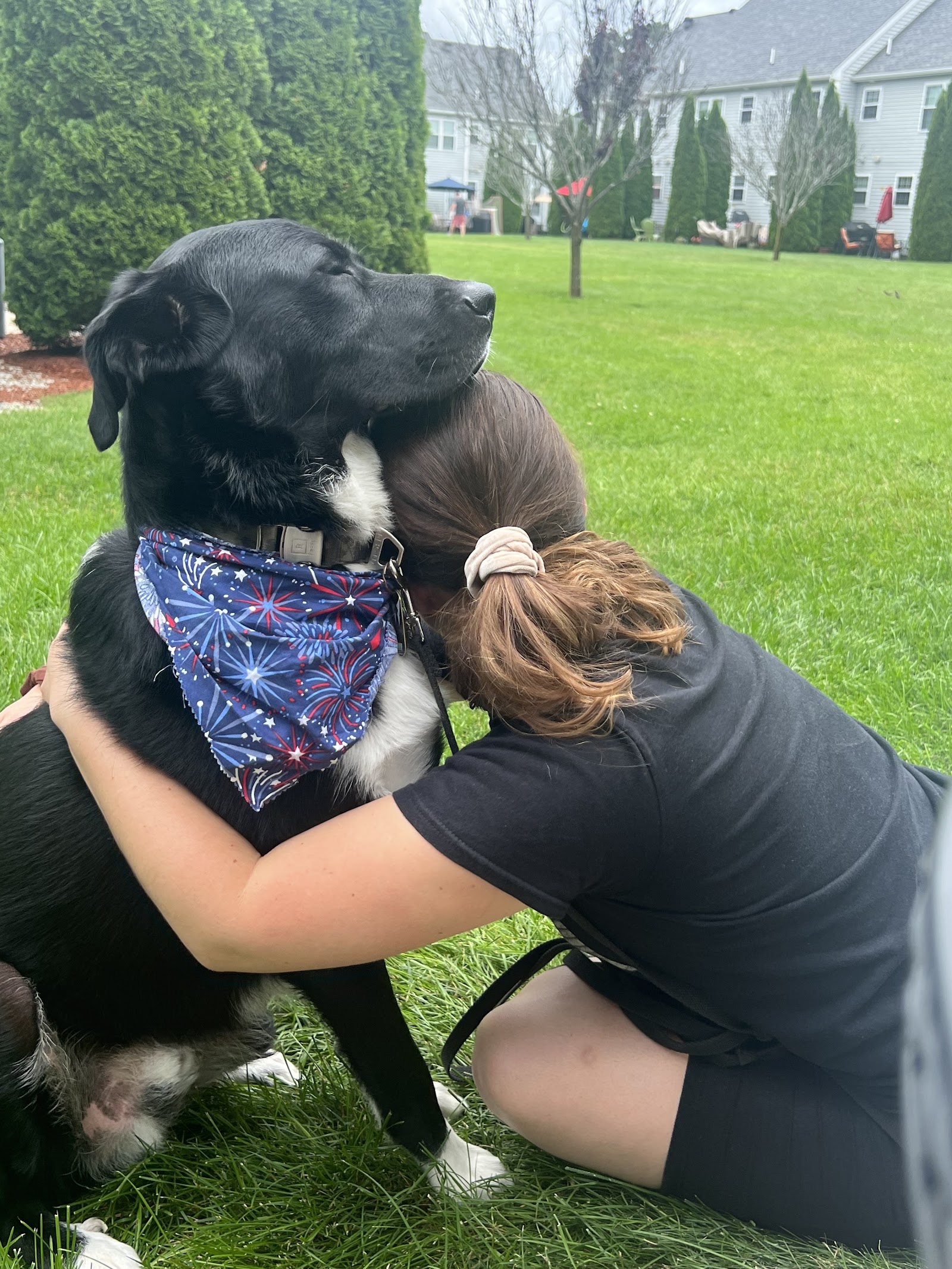North Boston Dog Training