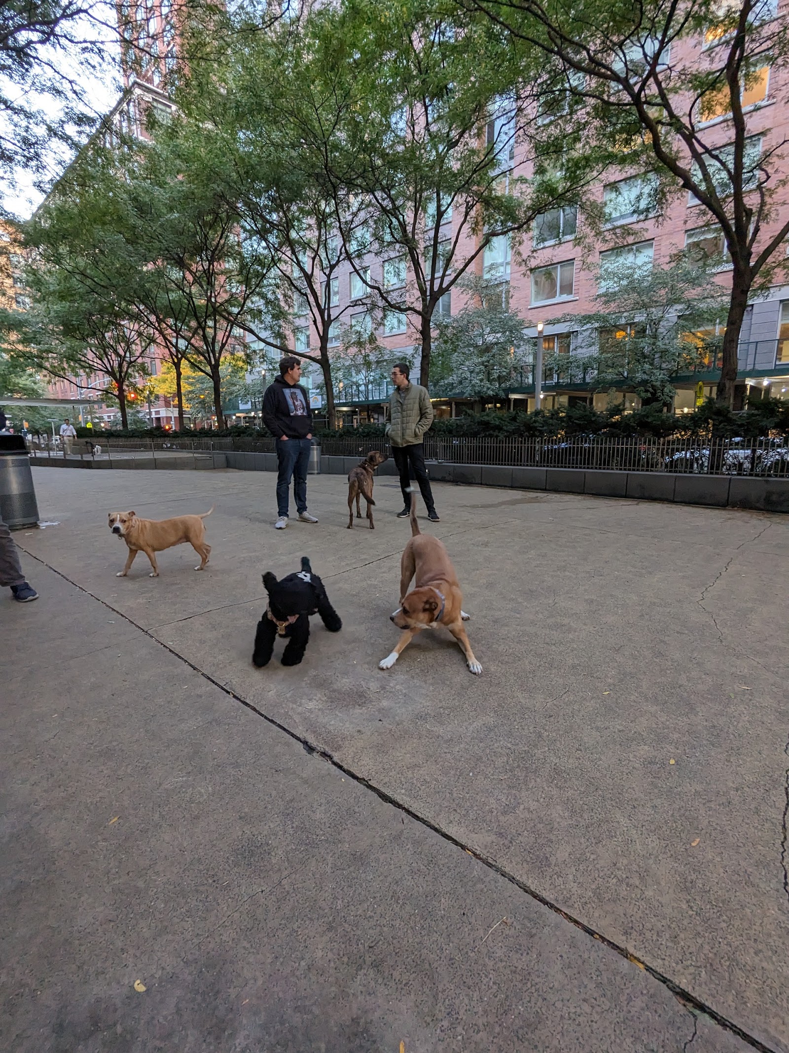 North End Dog Run🐕