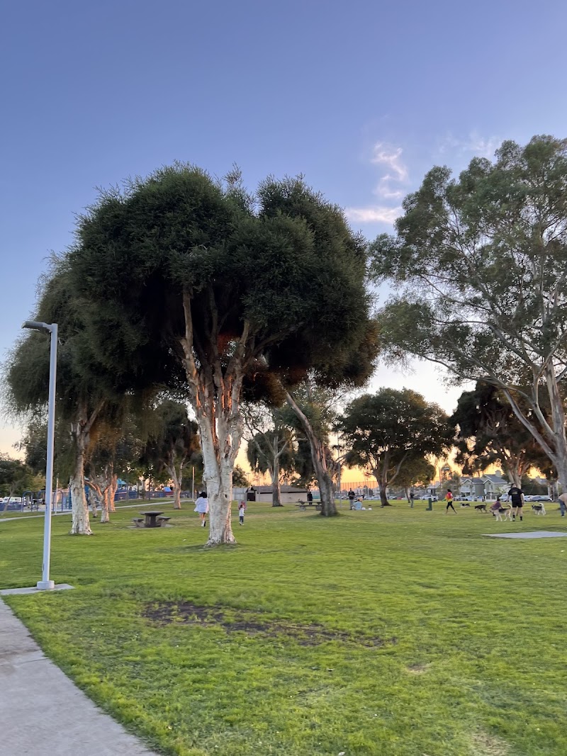 North Park Community Dog Park